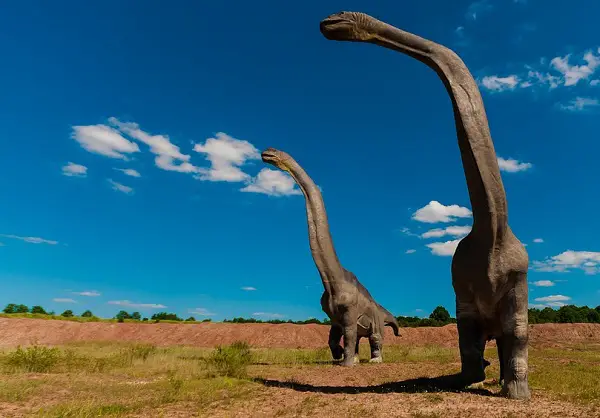 Brachiosaurus long neck dinosaur