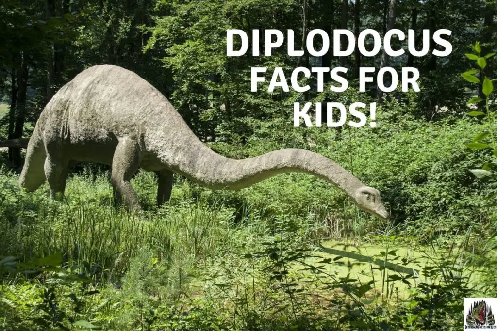 diplodocus facts for kids