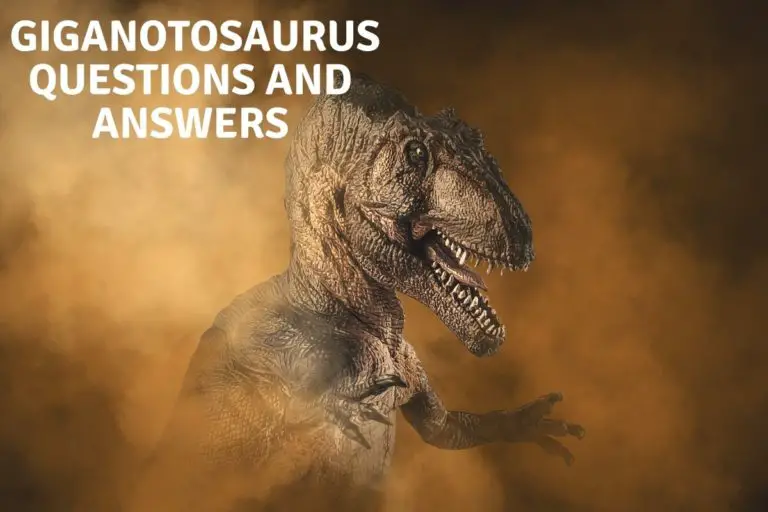20 Giganotosaurus Questions and Answers