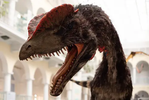 Dilophosaurus Scary Dinosaur