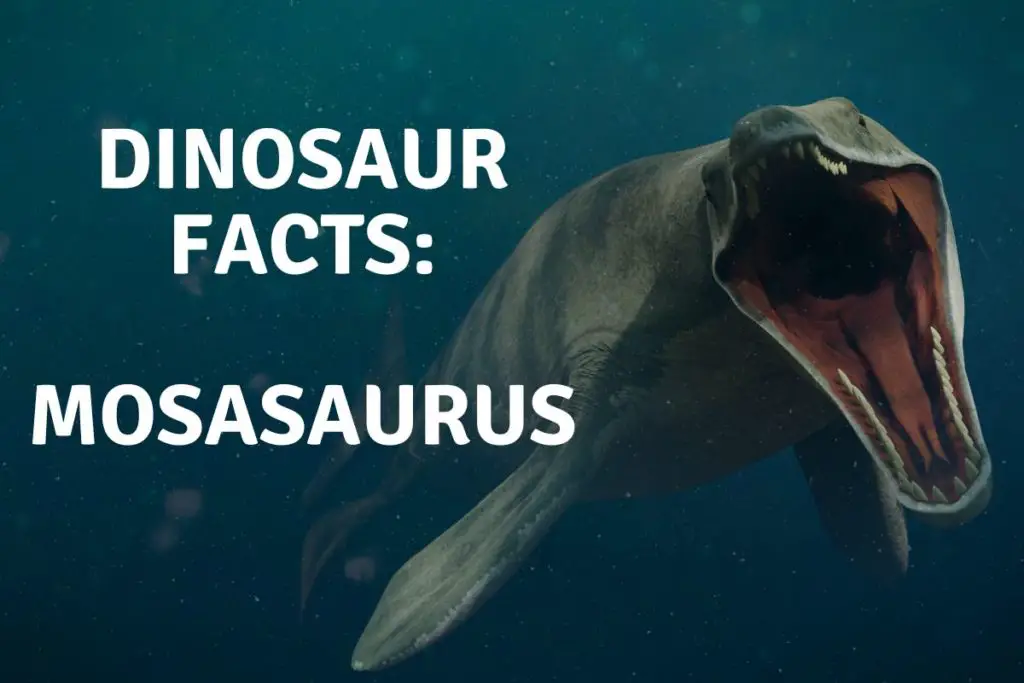 25 Facts About The Mosasaurus For Kids Dinosaur Facts For Kids
