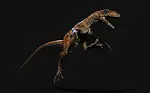 Atrociraptor