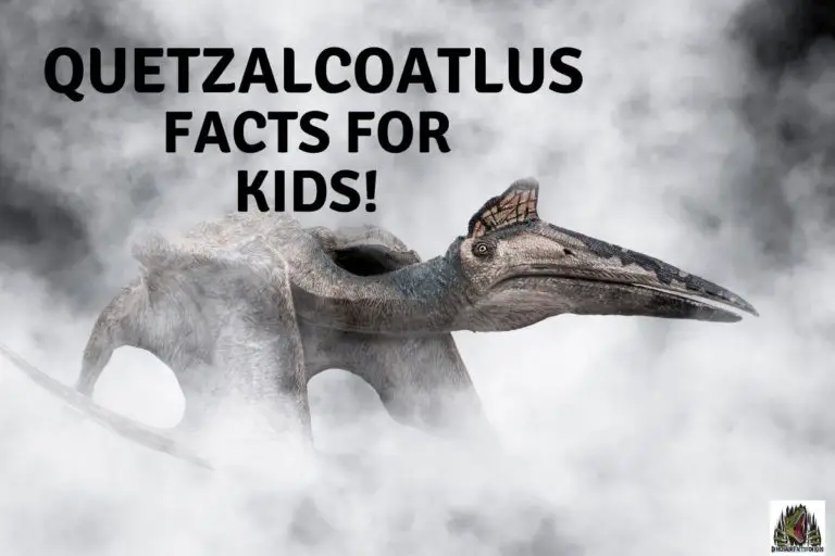 20 Quetzalcoatlus Questions and Answers.
