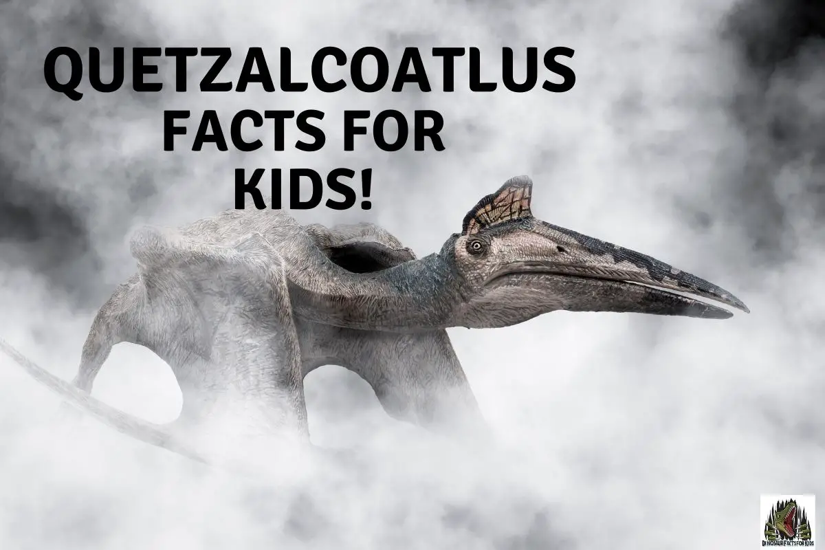 quetzalcoatlus facts for kids