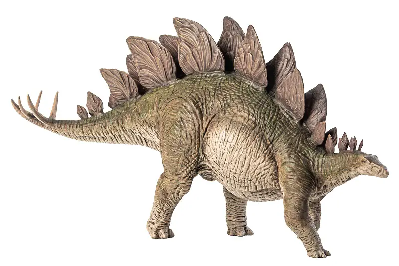 Stegosaurus information for kids