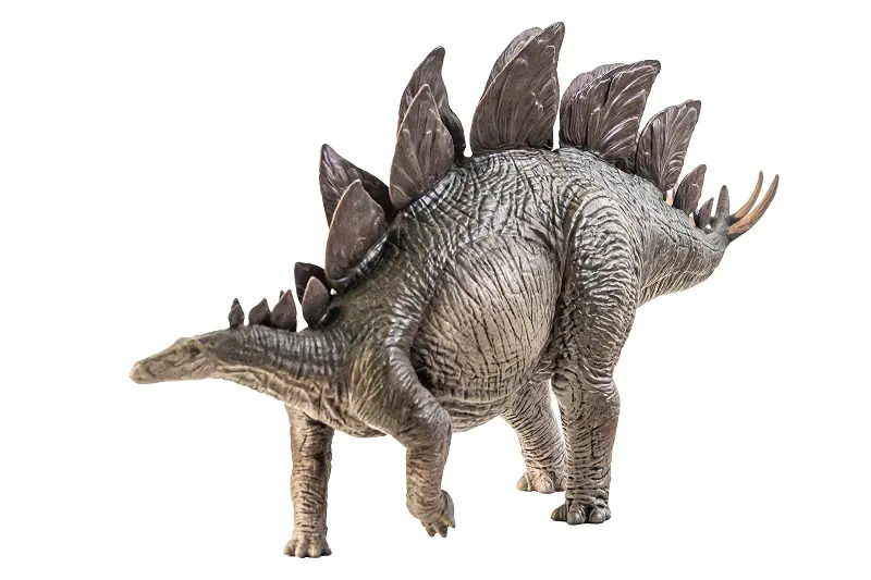 Stegosaurus Dinosaur information