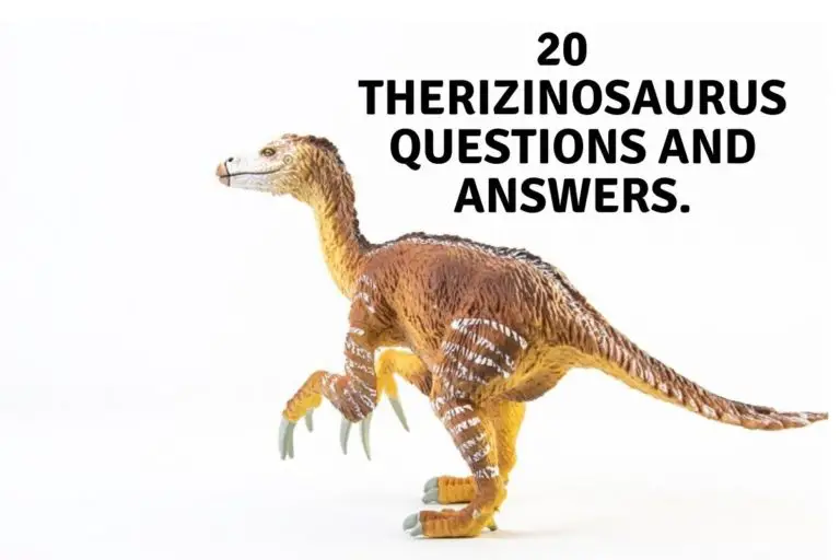 20 Therizinosaurus Questions and Answers.