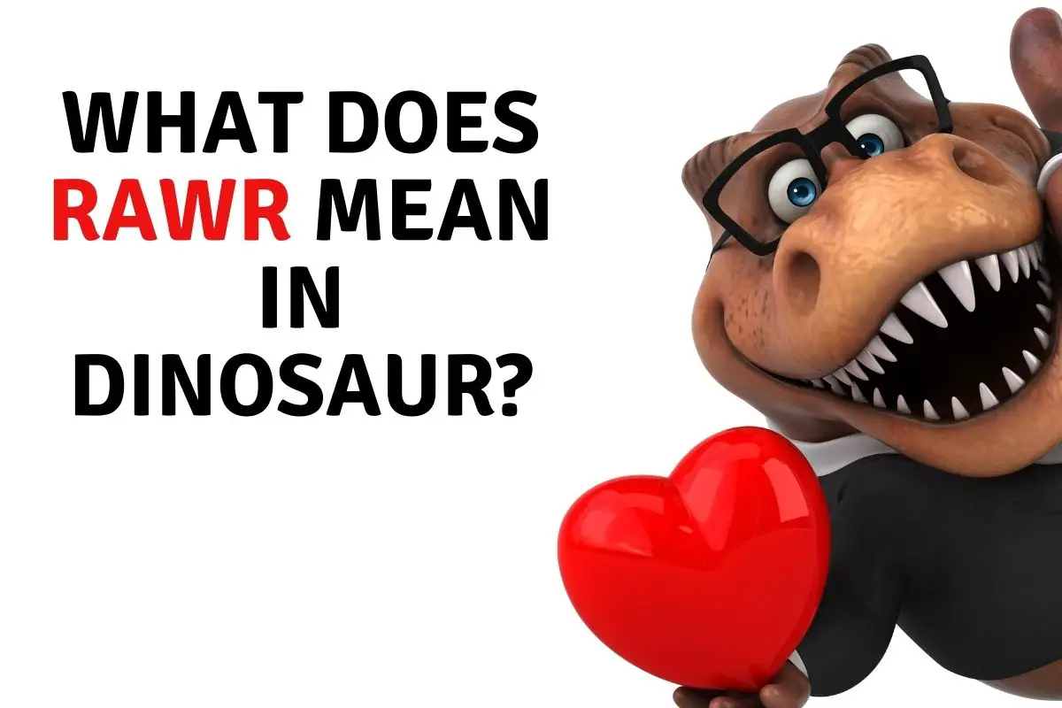 What does RAWR Mean in Dinosaur?