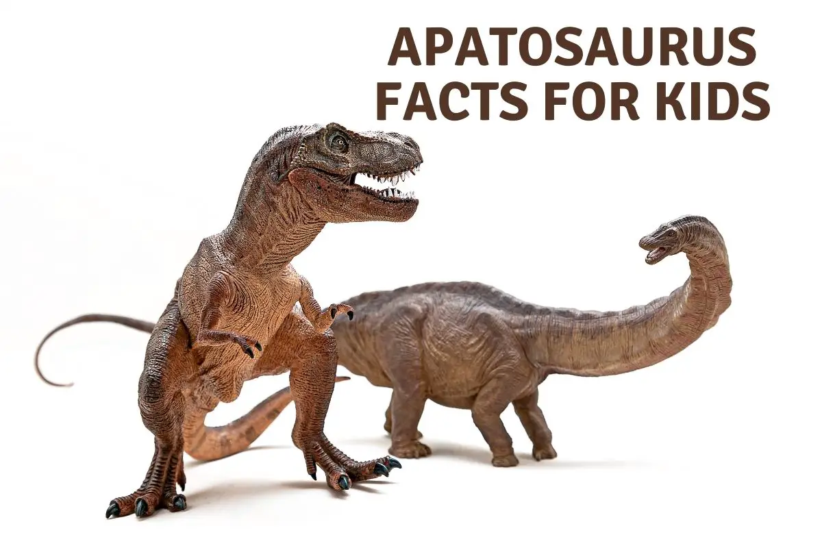 Apatosaurus Facts For Kids