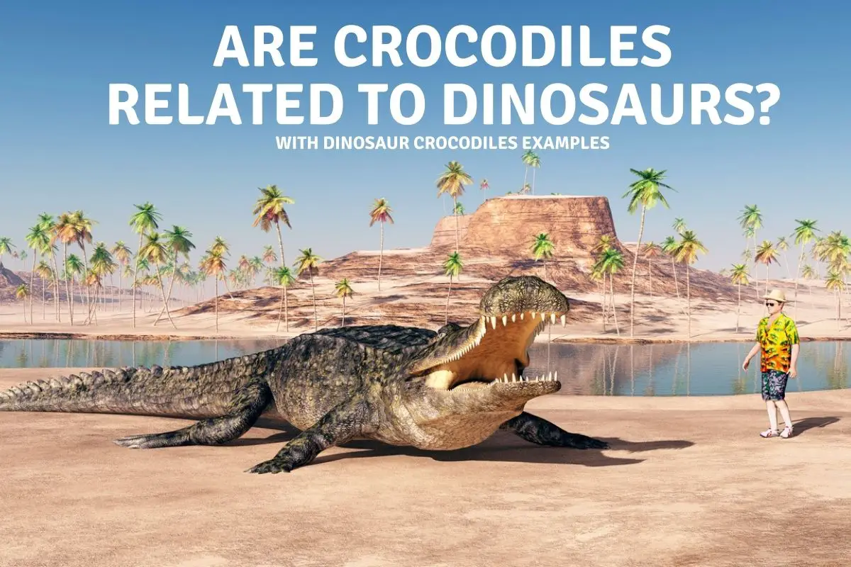 Are Crocodiles related to Dinosaurs