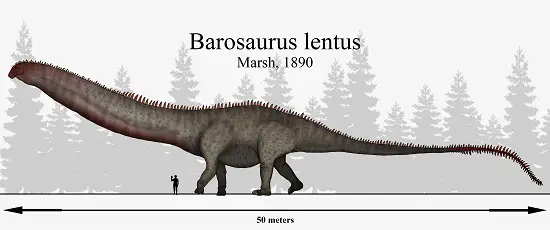 Barosaurus biggest dinosaur ever