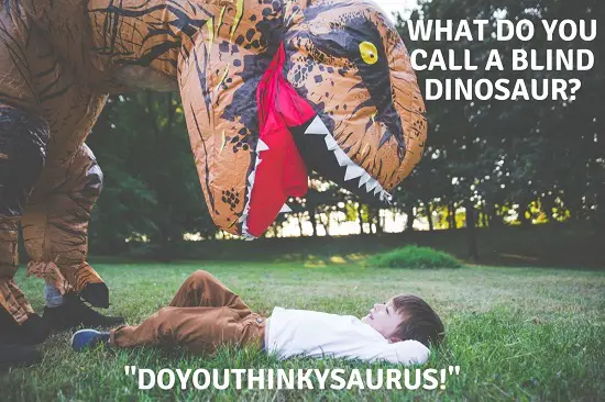Blind dinosaur dinosaur jokes