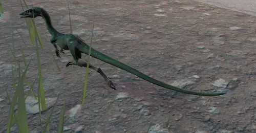 Compsognathus facts