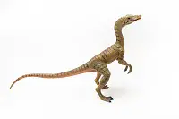 Compsognathus facts