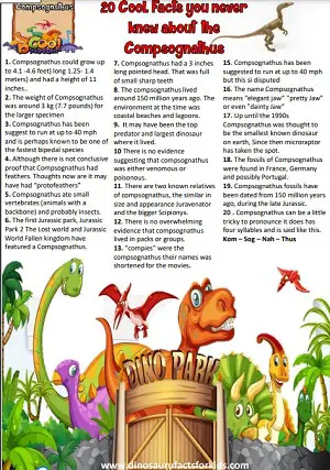 Compsognathus Fact sheet for kids