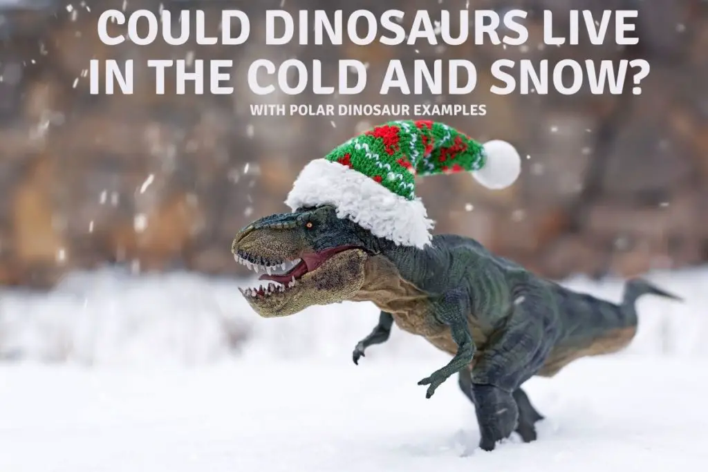 Could Dinosaurs Live in the Cold and Snow