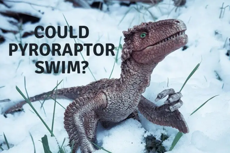 Could Pyroraptor Swim?