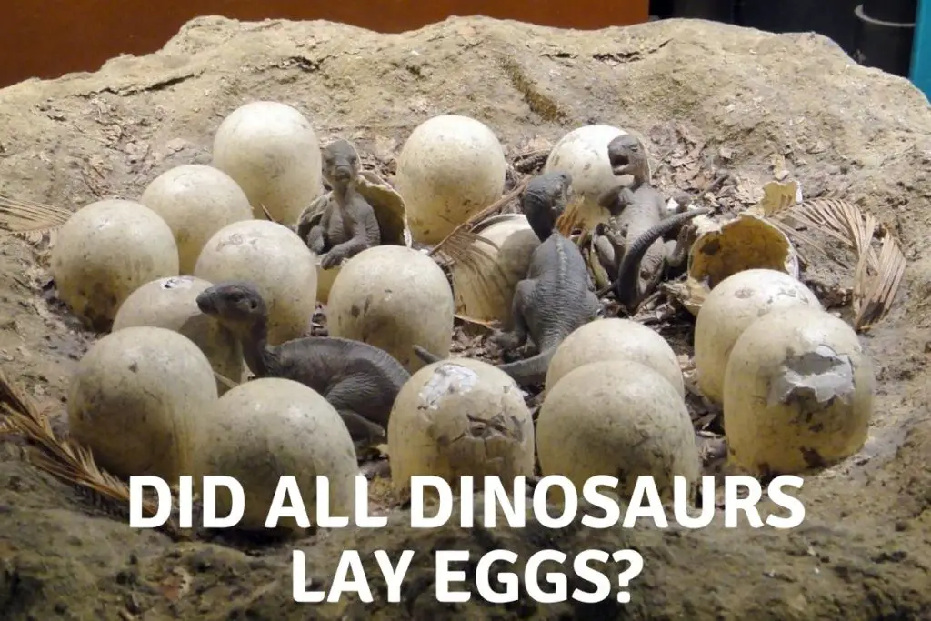 Did All Dinosaurs Lay Eggs