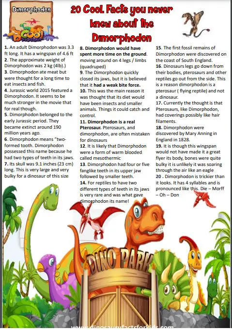 Dimorphodon Fact Sheet