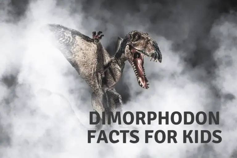 Dimorphodon Facts For Kids
