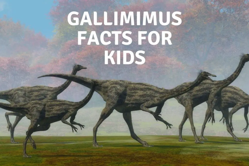 Gallimimus Facts For Kids
