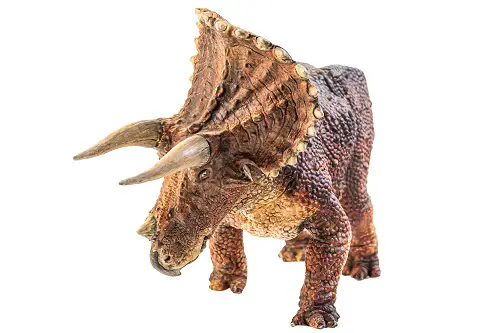 Horned dinosaur triceratops