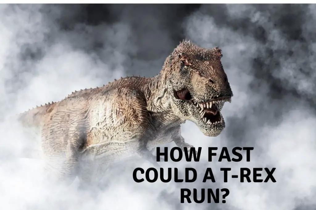 How Fast Could A T-Rex Run