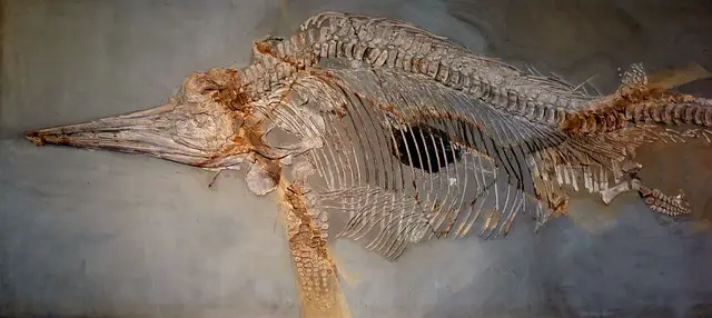 How fast was the dinosaur ichthyosaur