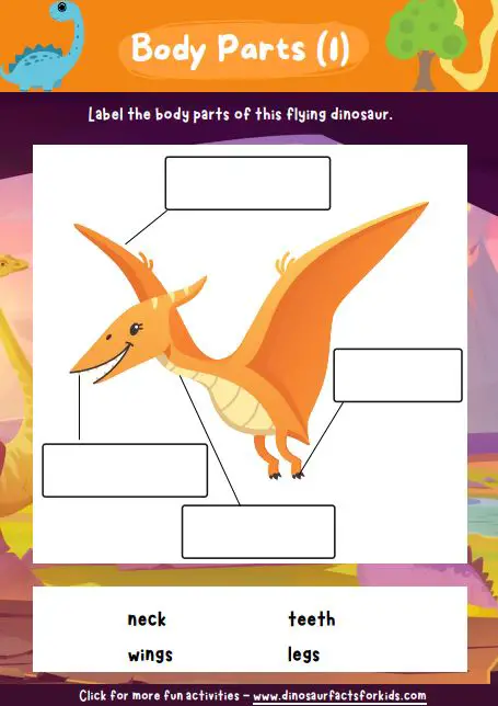 Pterodactyl dinosaur Body parts Worksheet