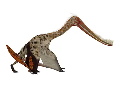 Pterodaustro guinazui was a carnivorous flying reptile that lived in South America during the Cretaceous Period.