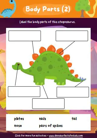 Stegosaurus body part worksheet