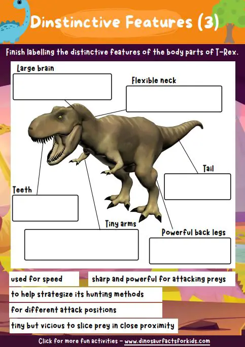 T-Rex body PArt Worksheet