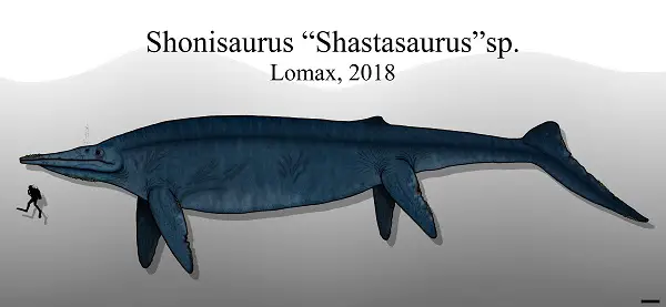 Was Shastasaurus larger than a blue whale
