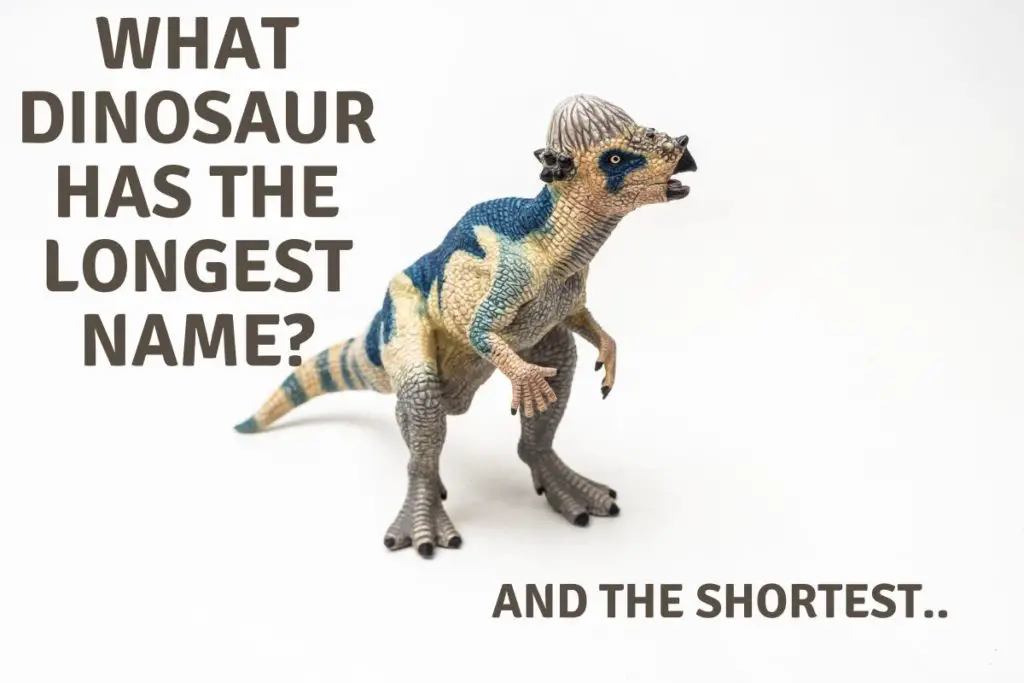 What Is The Dinosaur With The Longest Name Dinosaur Facts For Kids