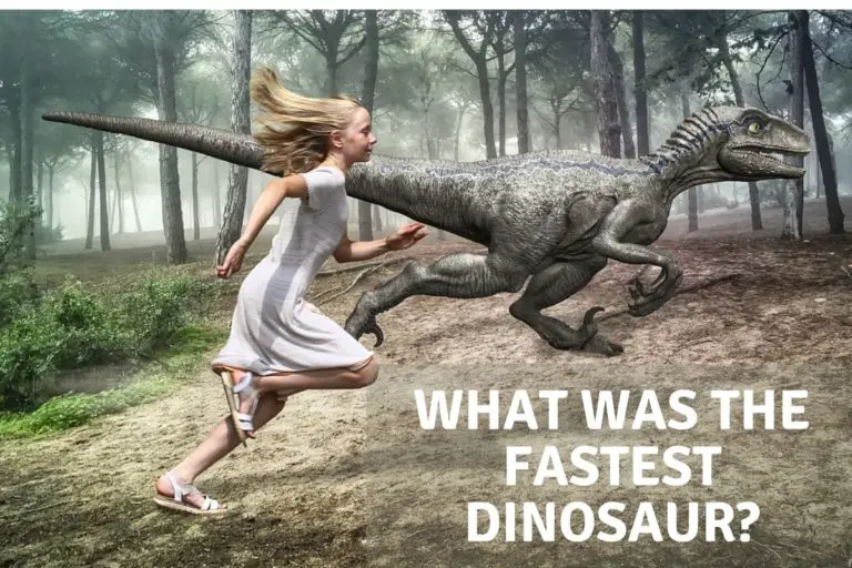 What Was The Fastest Dinosaur?