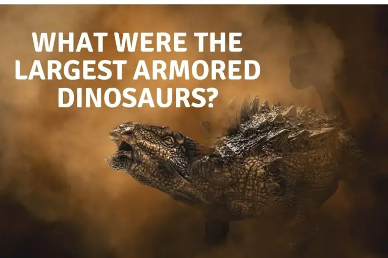 What Were The 10 Largest Armored Dinosaurs?