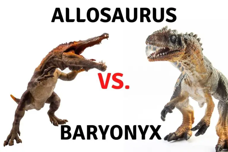 Who Would Win in a Fight Between a Baryonyx Vs. Allosaurus?