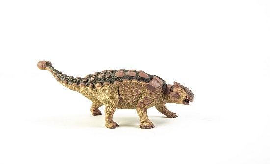 Ankylosaurus , dinosaur 