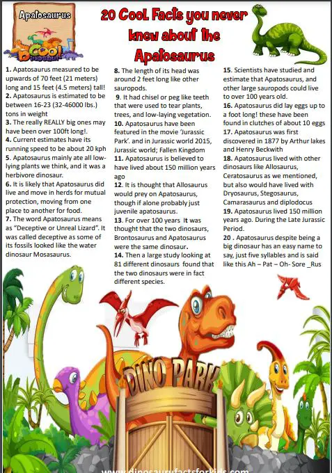 apatosaurus fact sheet