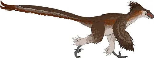 Feathered dinosaur facts