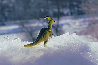 did dinosaurs live in the cold