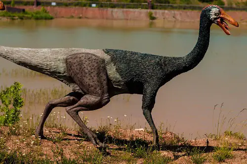 Deinocheirus largest meat eater
