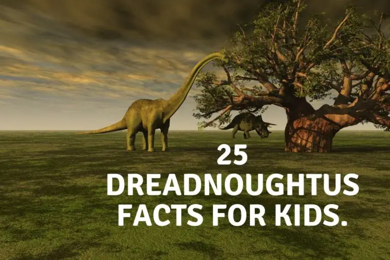 25 Dreadnoughtus Facts For Kids.