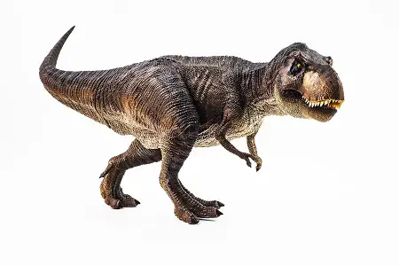 trex size