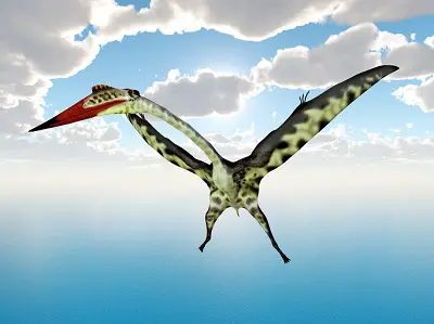 Moganopterus flying dinosaur