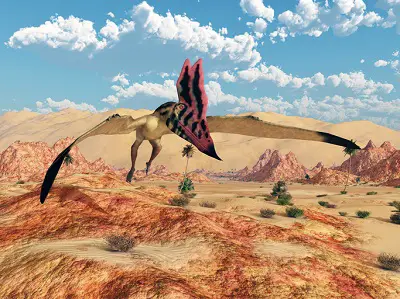 Tupandactylus flying dinosaur