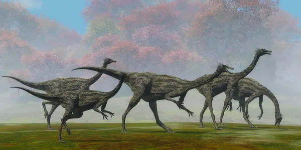 gallimimus facts for kids