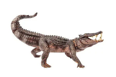 Kaprosuchus are crocodiles related to dinosaurs