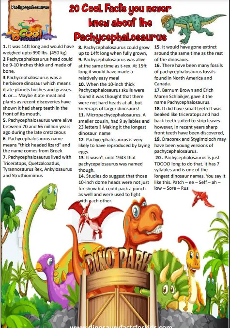pachycephalosaurus Fact Sheet for kids