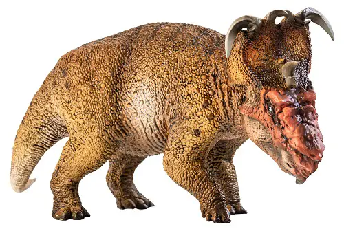 Pachyrhinosaurus large horned dinosaur